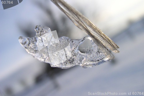 Image of A Piece of Ice