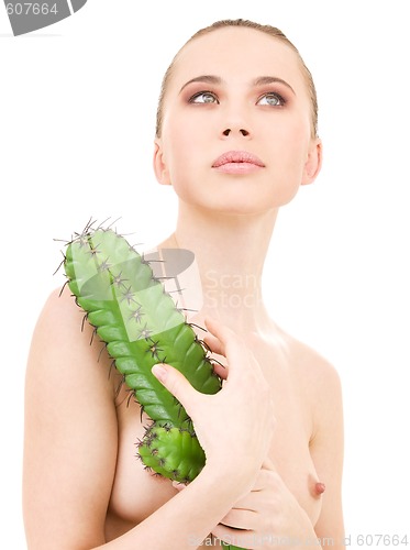 Image of cactus