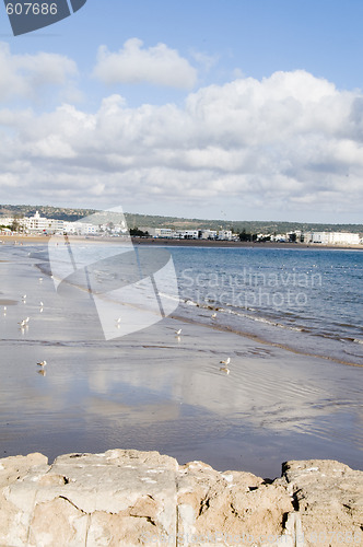 Image of beach essaouria mogador morocco