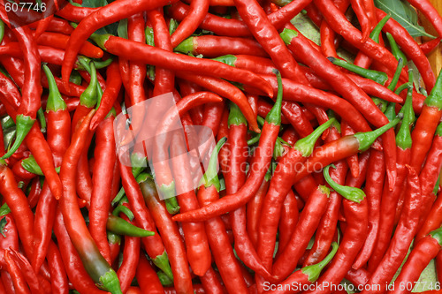 Image of Red hot chili peppers
