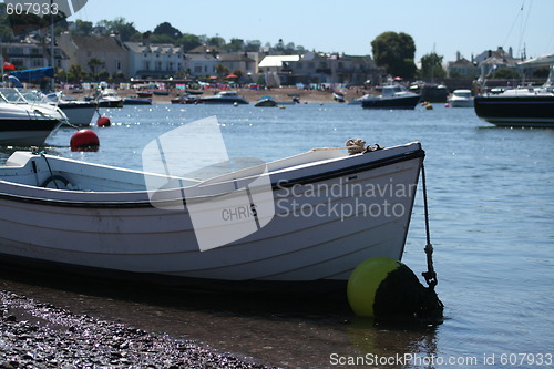 Image of Back Beach