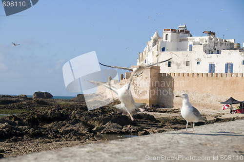 Image of ramparts old city essaouira morocco