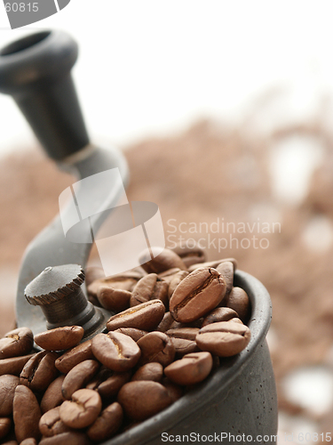 Image of Coffee Grinder