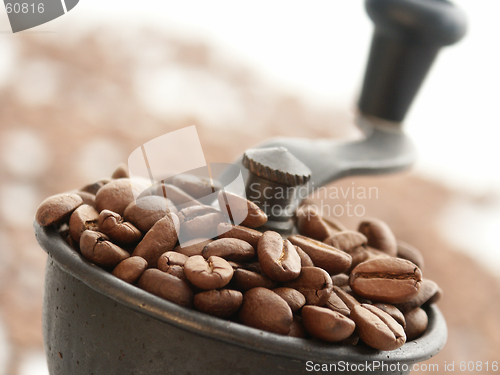 Image of Coffee Grinder