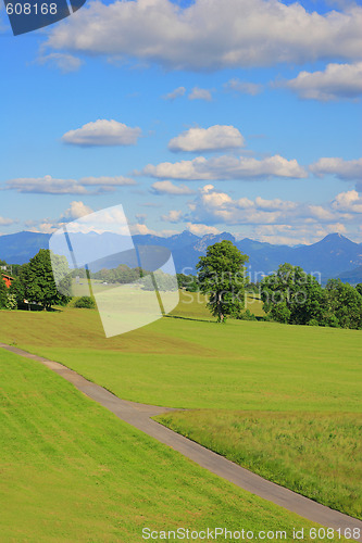 Image of beautiful summer landscape