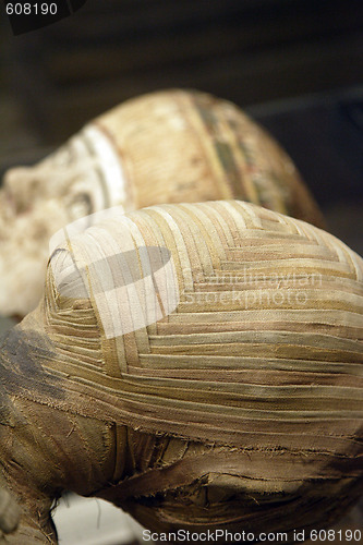 Image of egyptian mummy