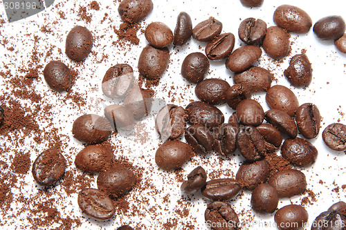 Image of coffee beans