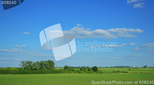 Image of beautiful summer landscape