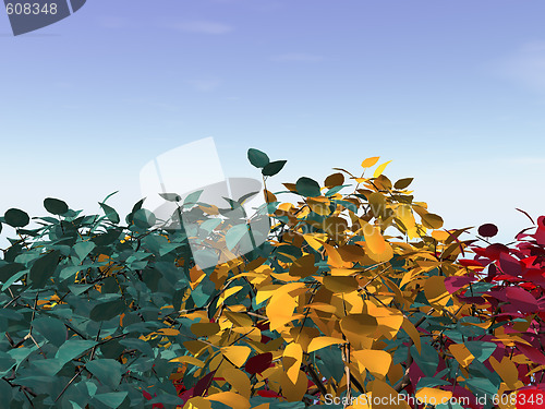 Image of foliage