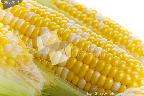 Image of Fresh corn