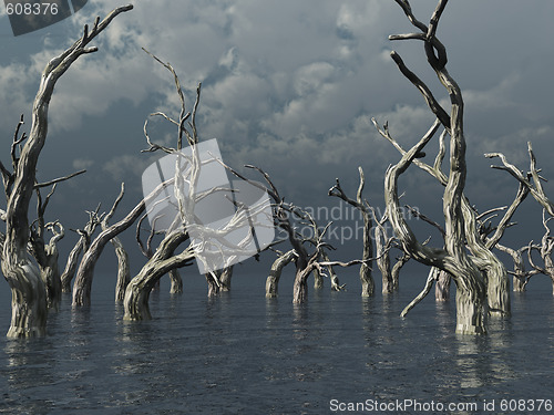 Image of dead trees