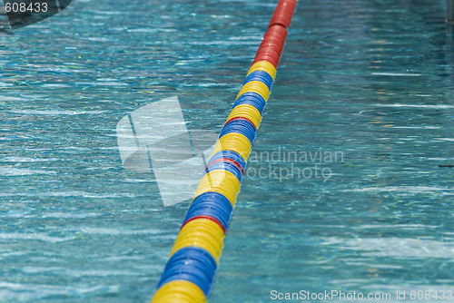 Image of Swimming pool detail