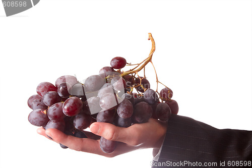 Image of Hand with grape