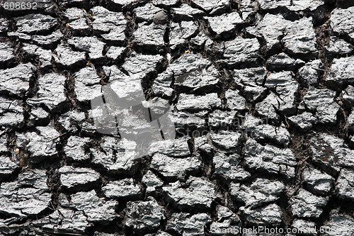 Image of Dry soil