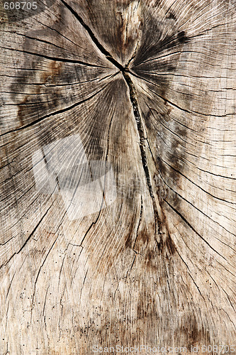 Image of Wood background