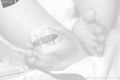 Image of Baby feet