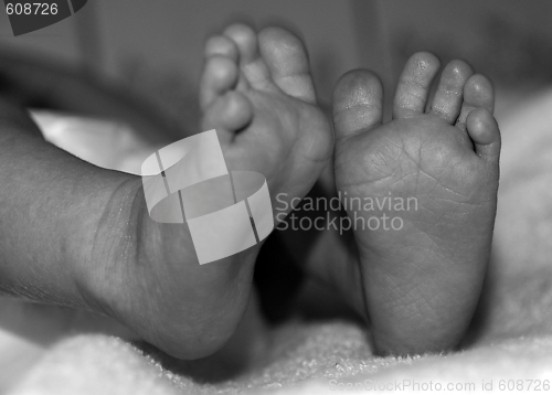 Image of Baby feet