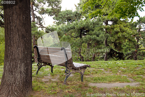Image of Wooden bench in park