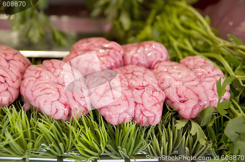 Image of cow brains in butcher shop