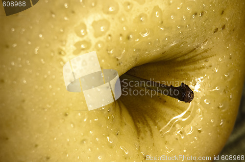 Image of Apple