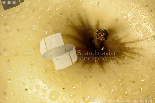 Image of Apple