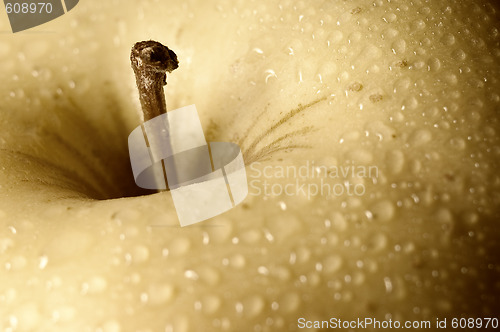 Image of Apple