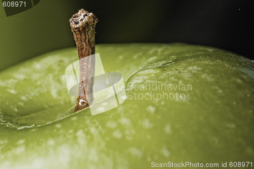 Image of Apple