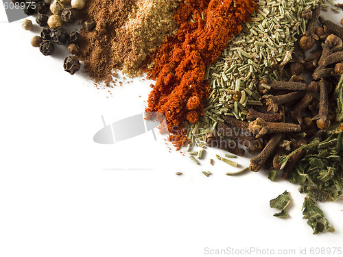 Image of Spices over white