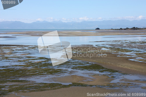 Image of Wetlands