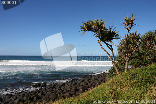 Image of Burleigh Head National Park