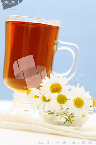 Image of camomille tea
