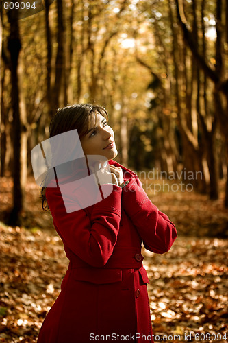 Image of Autumn Beauty