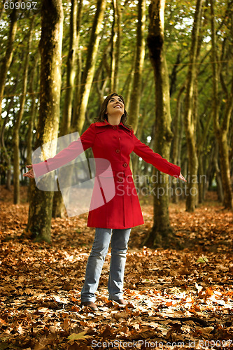 Image of Autumn Beauty