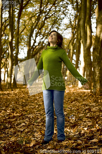Image of Autumn Beauty