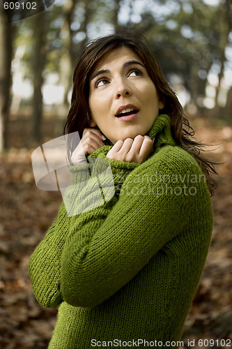 Image of Autumn Beauty