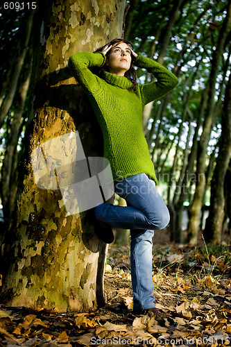 Image of Autumn Beauty