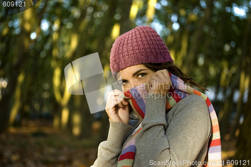 Image of Autumn Beauty