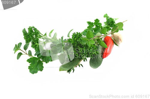 Image of Garland Of Fresh Herbs