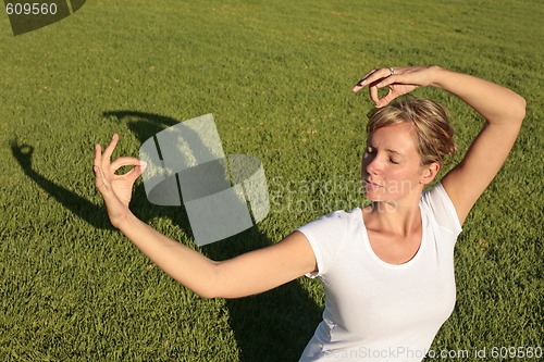 Image of Meditation on a Lawn