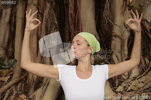 Image of Woman in white meditating in front of Bodhi Tree Roots