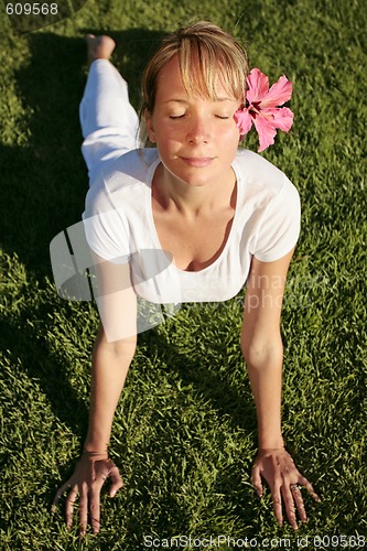 Image of Meditation on a Lawn