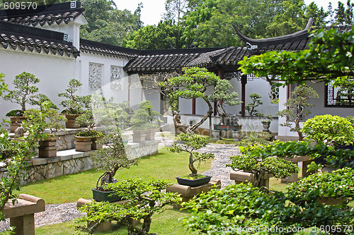 Image of Chinese Garden in Singapore