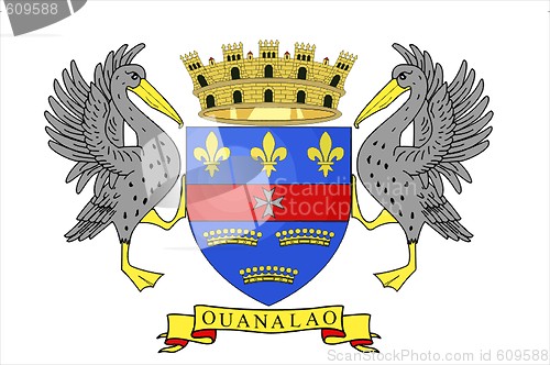 Image of Saint Barthelemy Flag