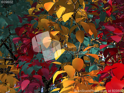 Image of foliage