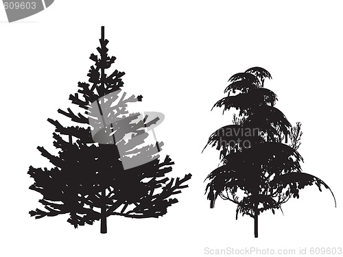 Image of trees