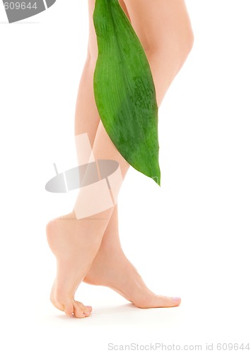 Image of female legs with green leaf