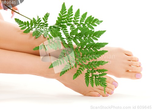 Image of female feet with green leaf