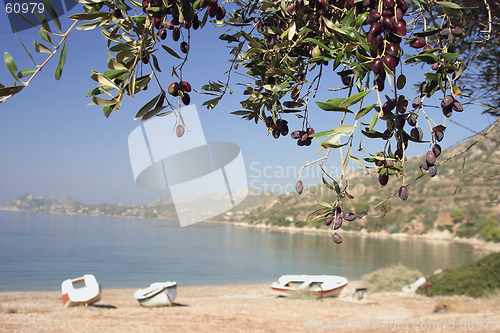 Image of greek landscape