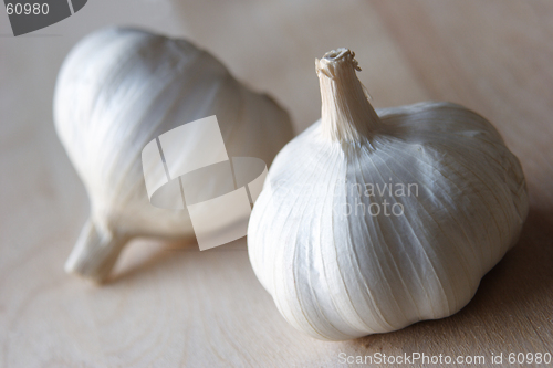 Image of garlic