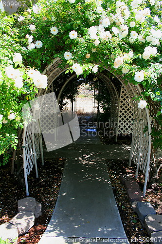 Image of Garden Arbor